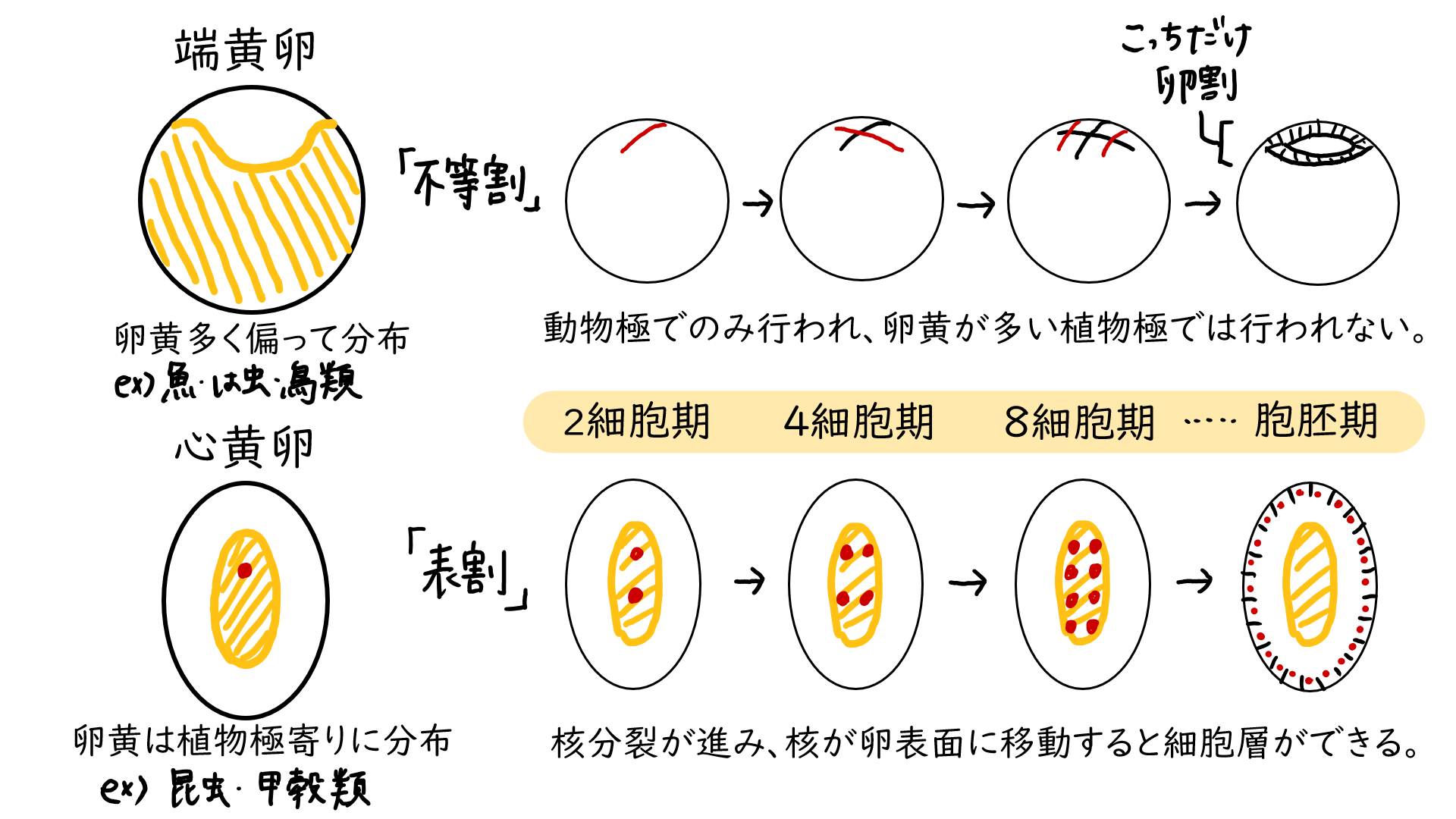 スクリーンショット 241.png