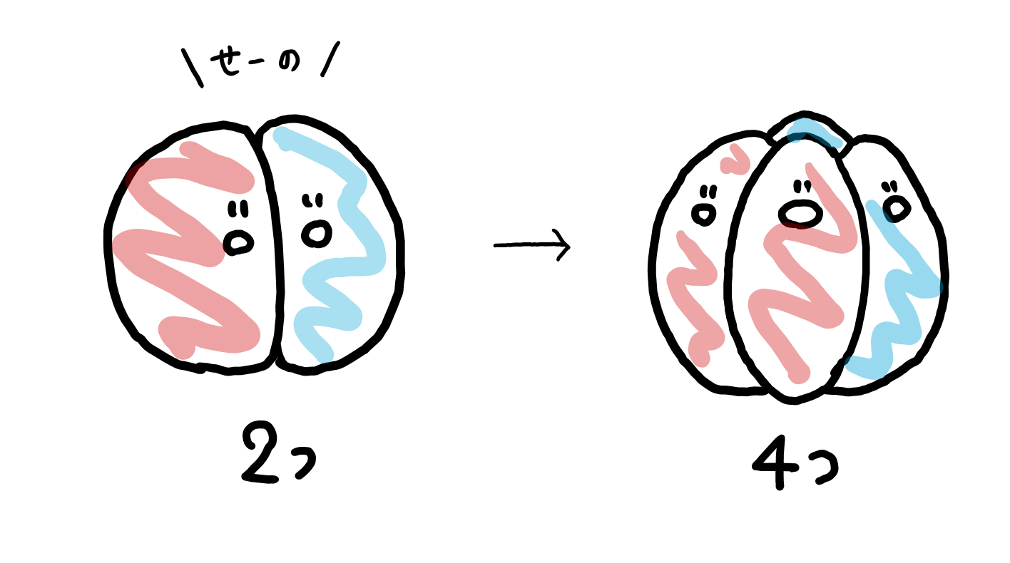 スクリーンショット 239.png