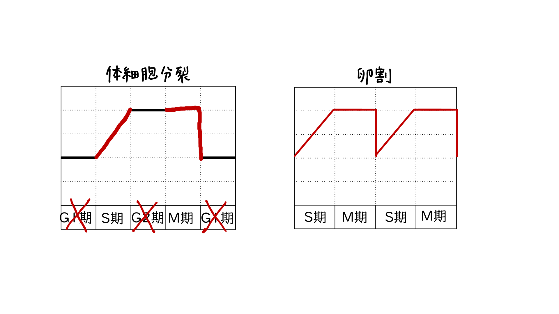 スクリーンショット 292.png