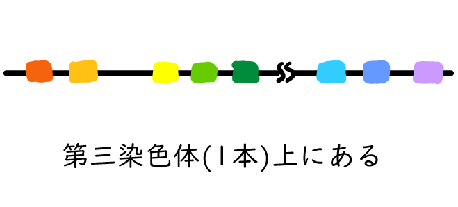 スクリーンショット 390.png