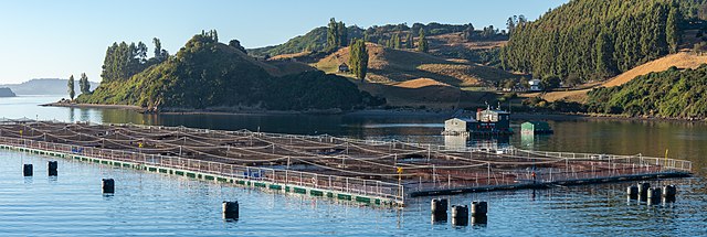 20190316_01_Aquaculture_in_Chile.jpg