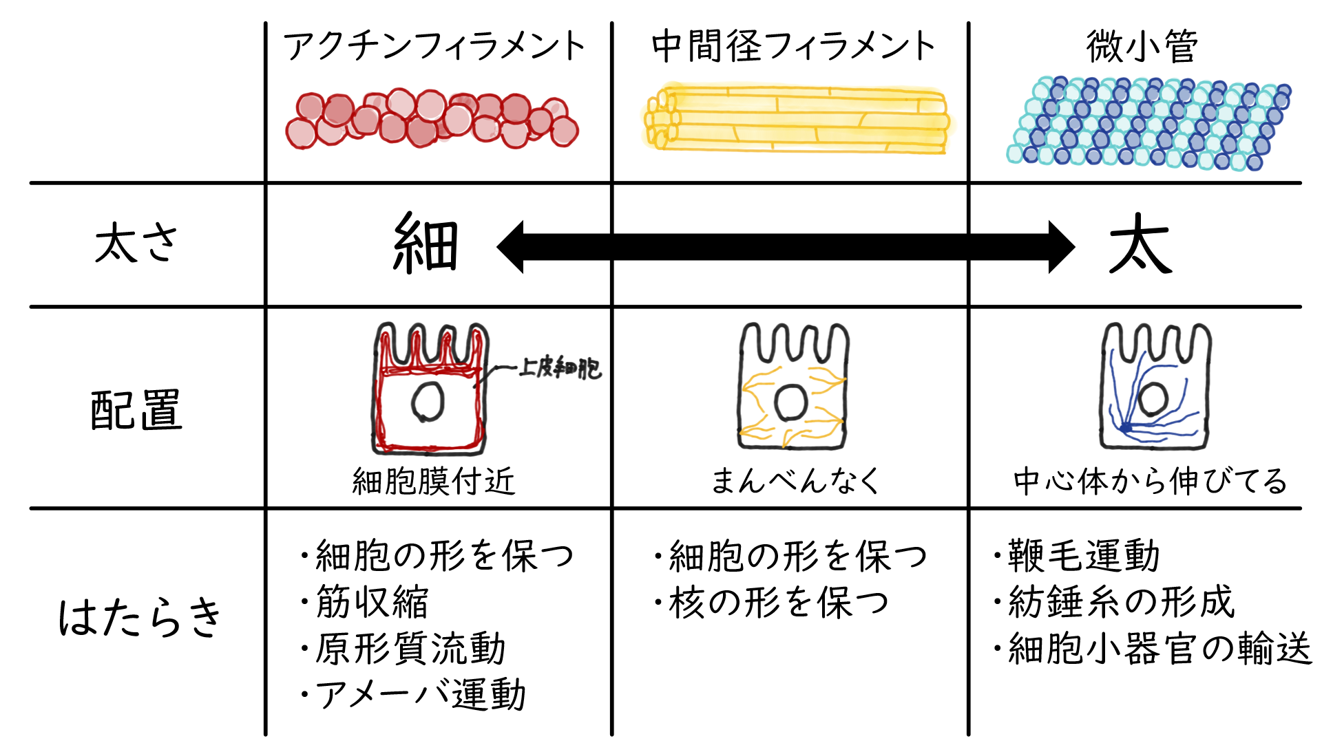 スクリーンショット 370.png