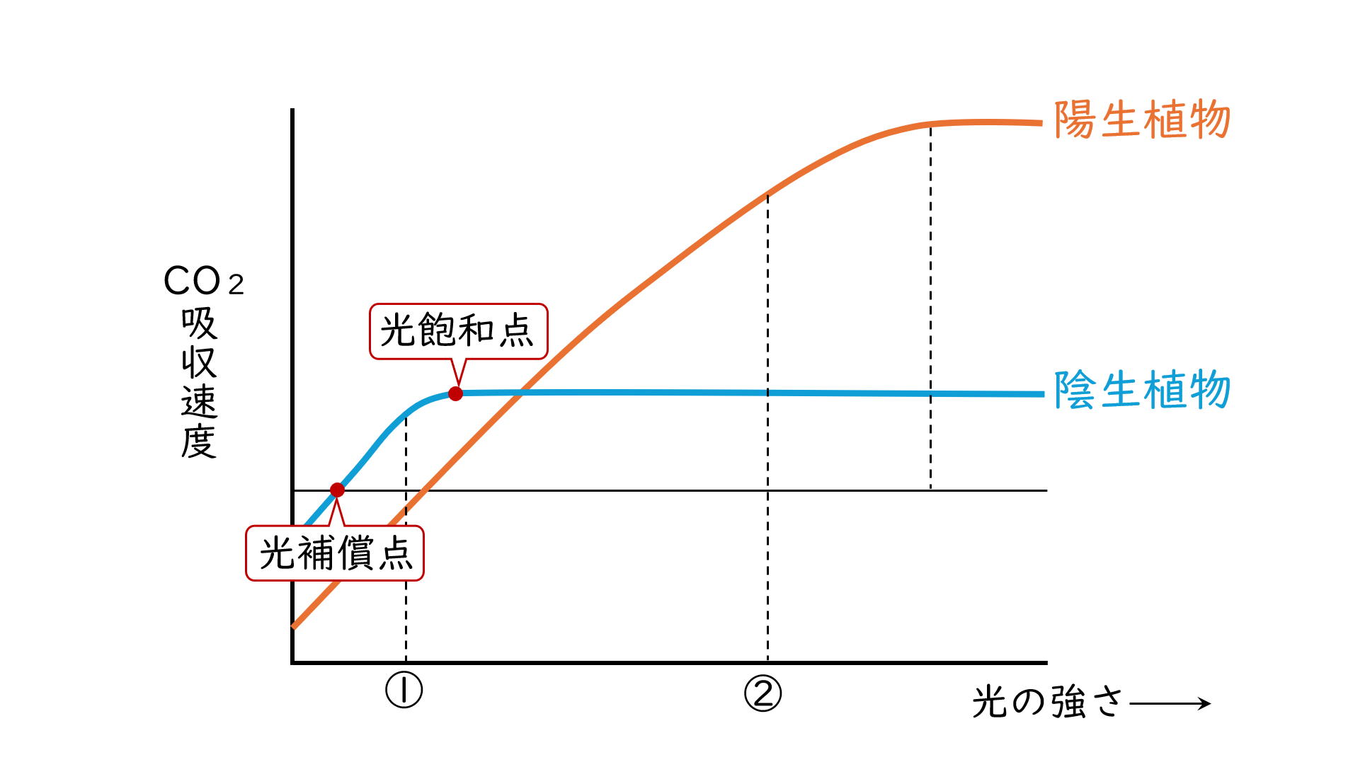 スクリーンショット (63).png