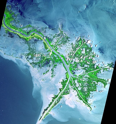 s-Mississippi_delta_from_space.jpg