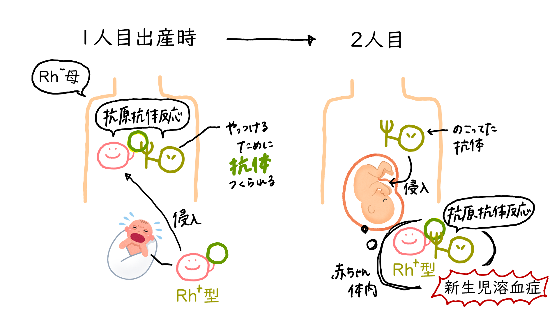 スクリーンショット 185.png