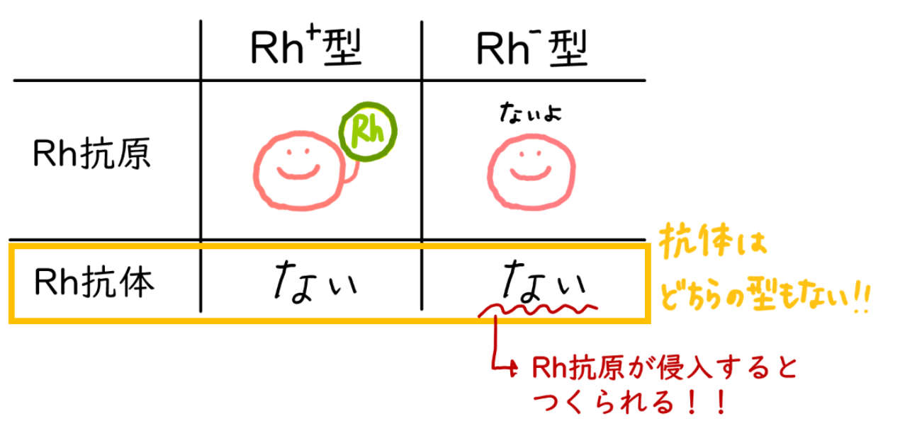 Rh式血液型 - okke