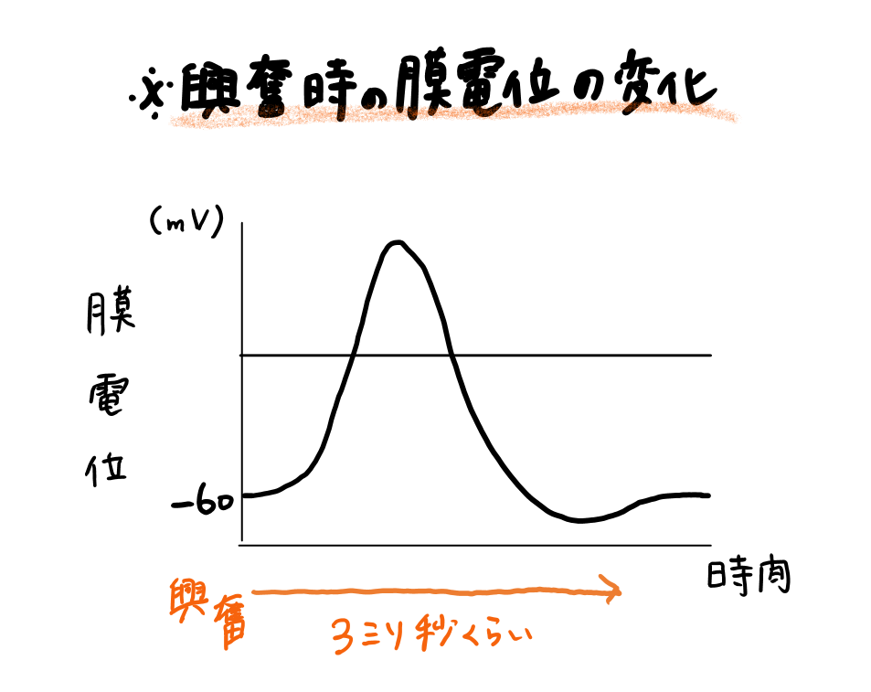 スクリーンショット 293.png