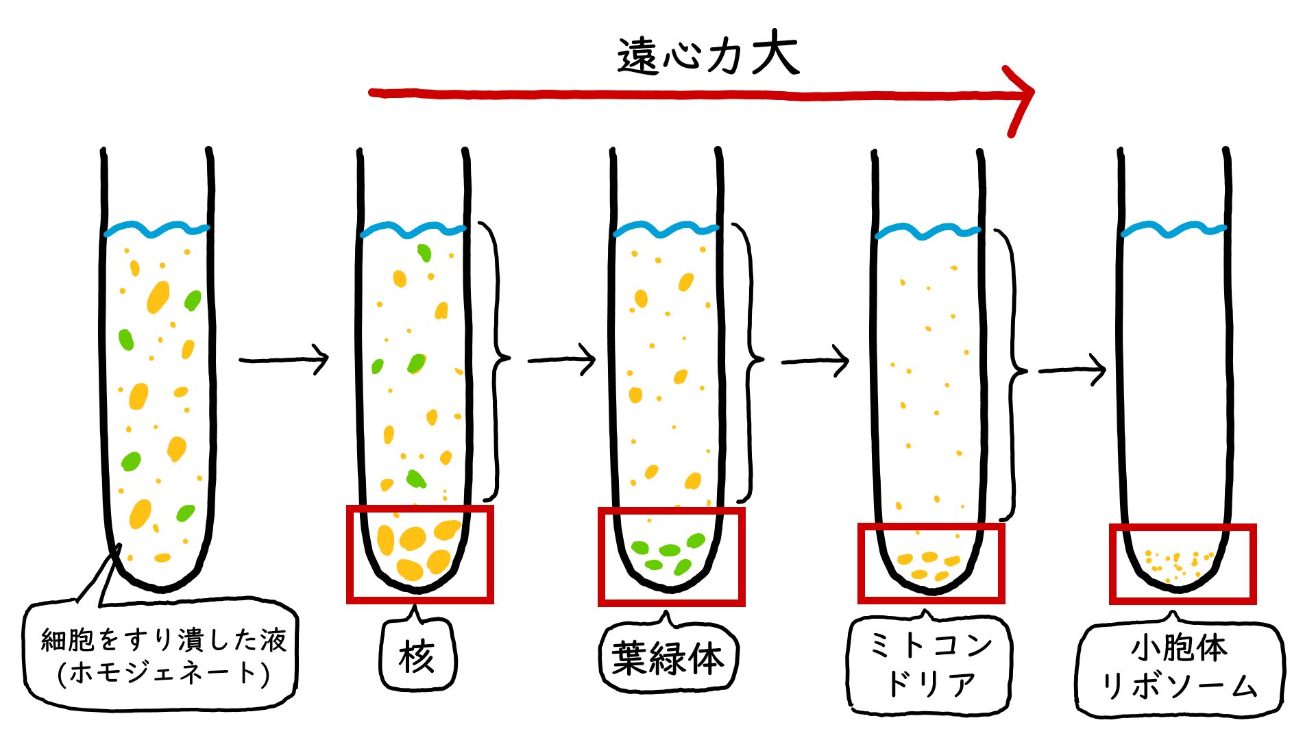 スクリーンショット 187.png