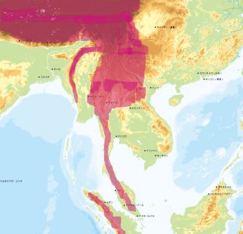スクリーンショット 48.jpg