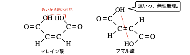 カルボン酸_8.png
