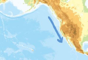 カリフォルニア海流.jpg