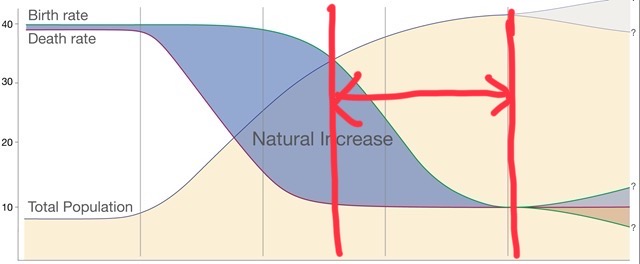 20250224_131307000_iOS 1.jpg