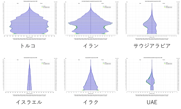 s西アジアの人口ピラミッド.jpg