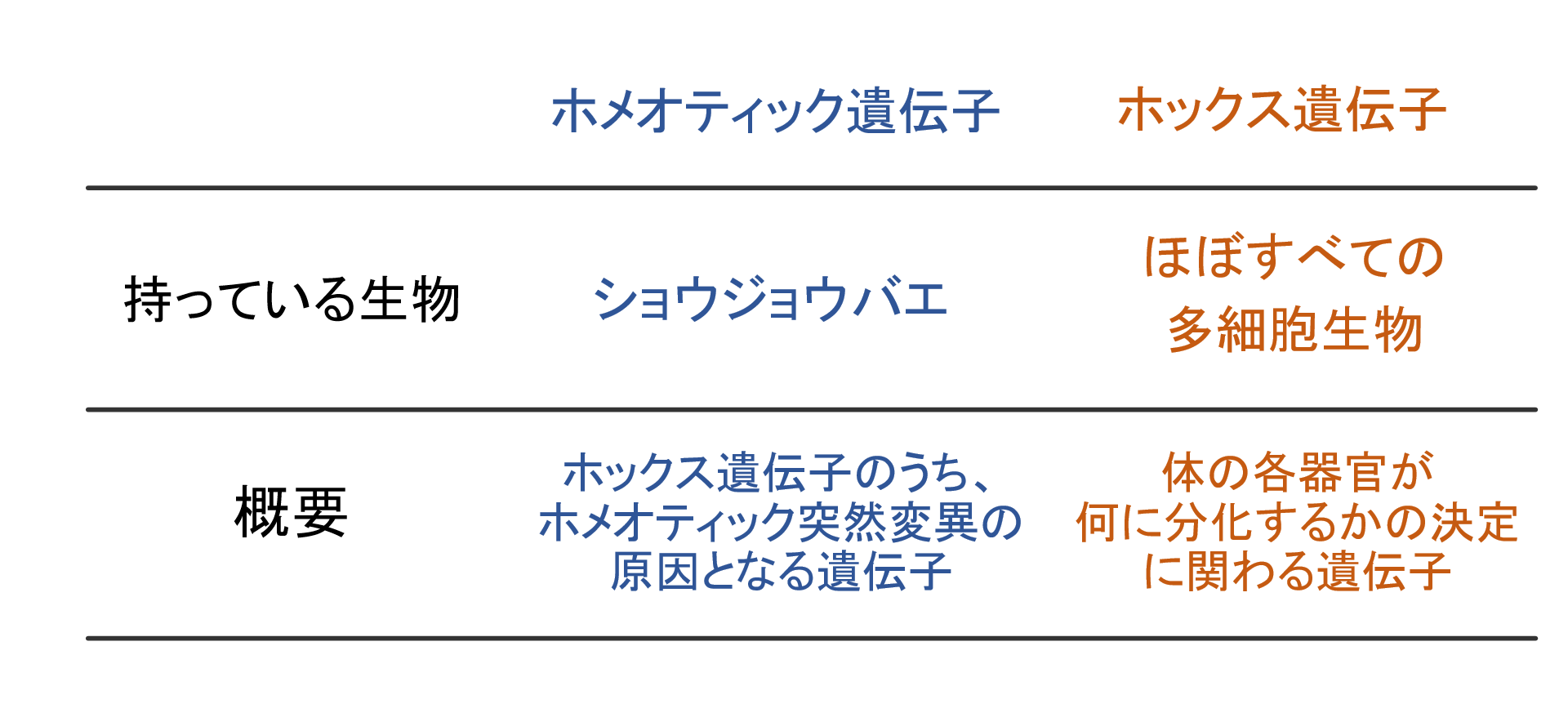 スクリーンショット 421.png