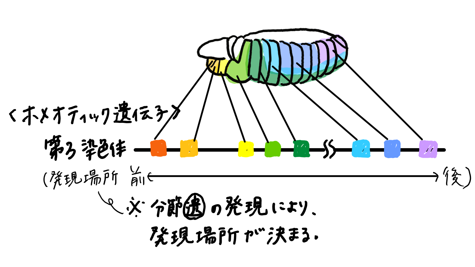 活動歴および当時の関連ビジュアル記録