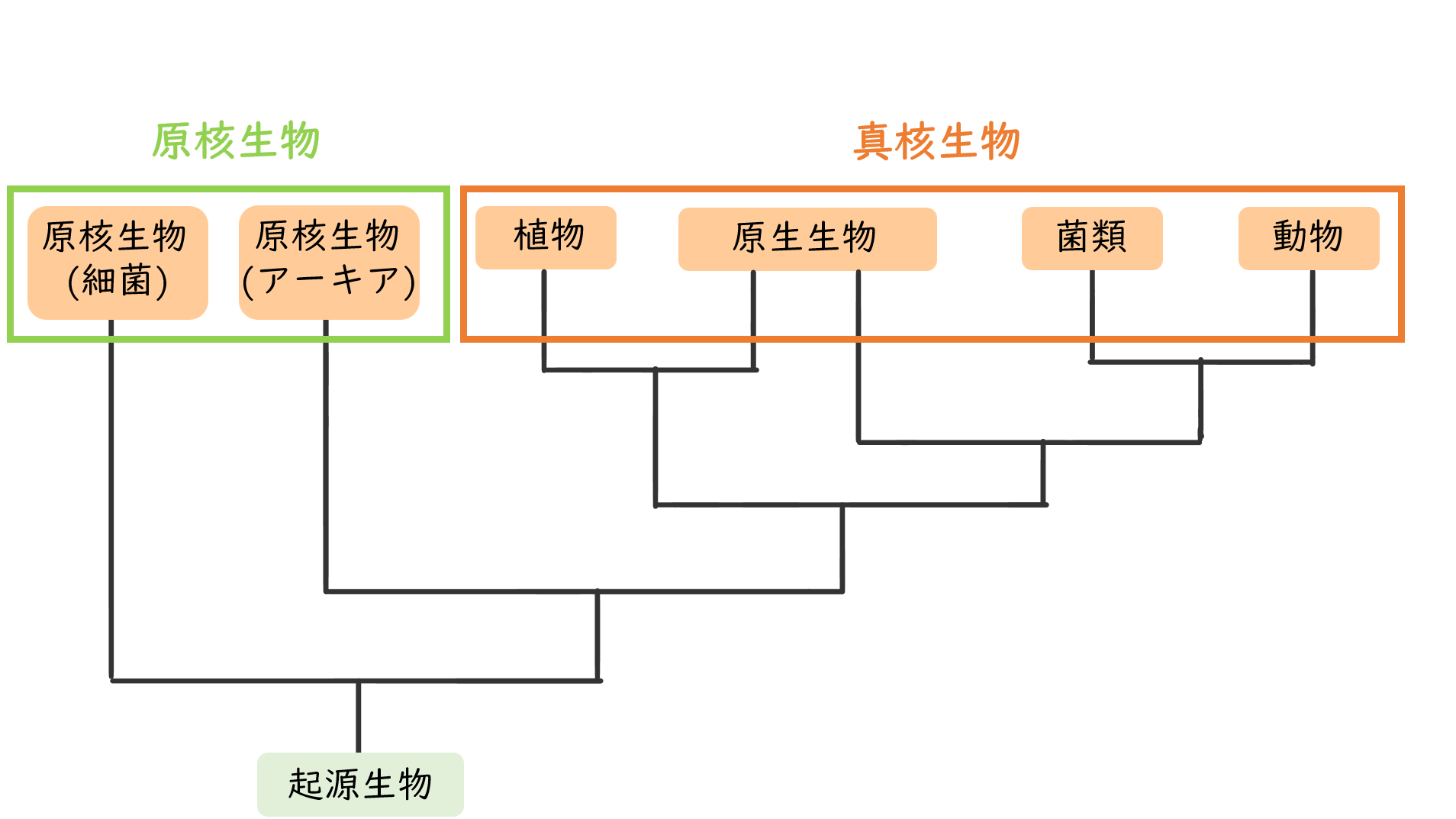 スクリーンショット 31.png