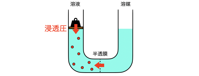 浸透圧_5.png