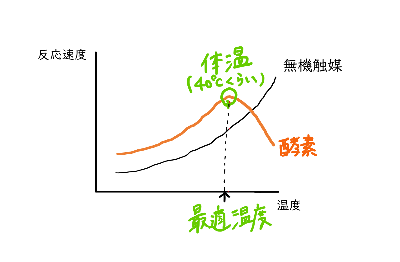 スクリーンショット 297.png