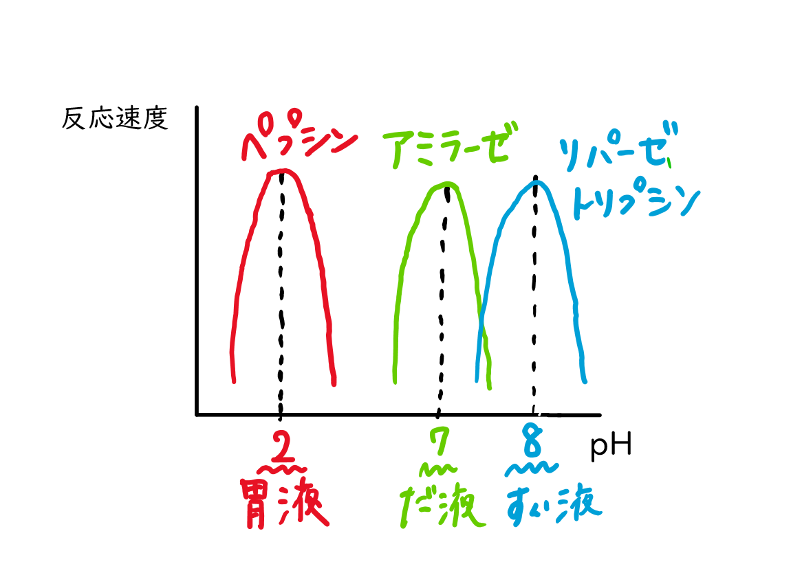 スクリーンショット 298.png