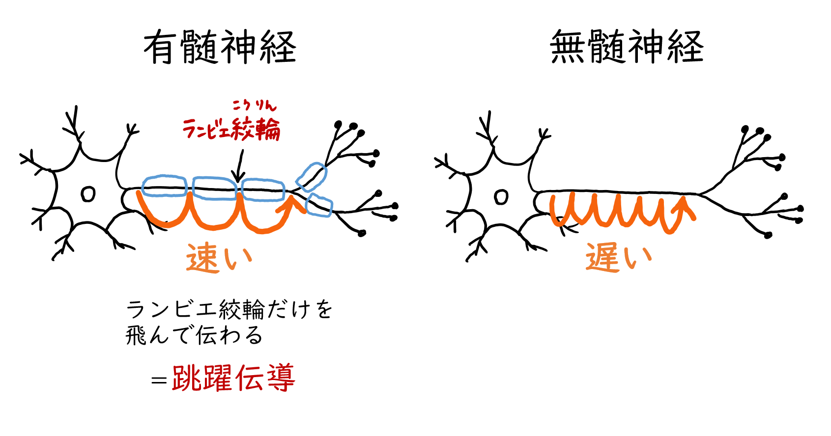 スクリーンショット 203.png