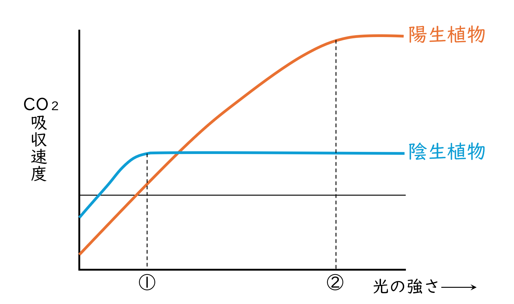 スクリーンショット (54).png