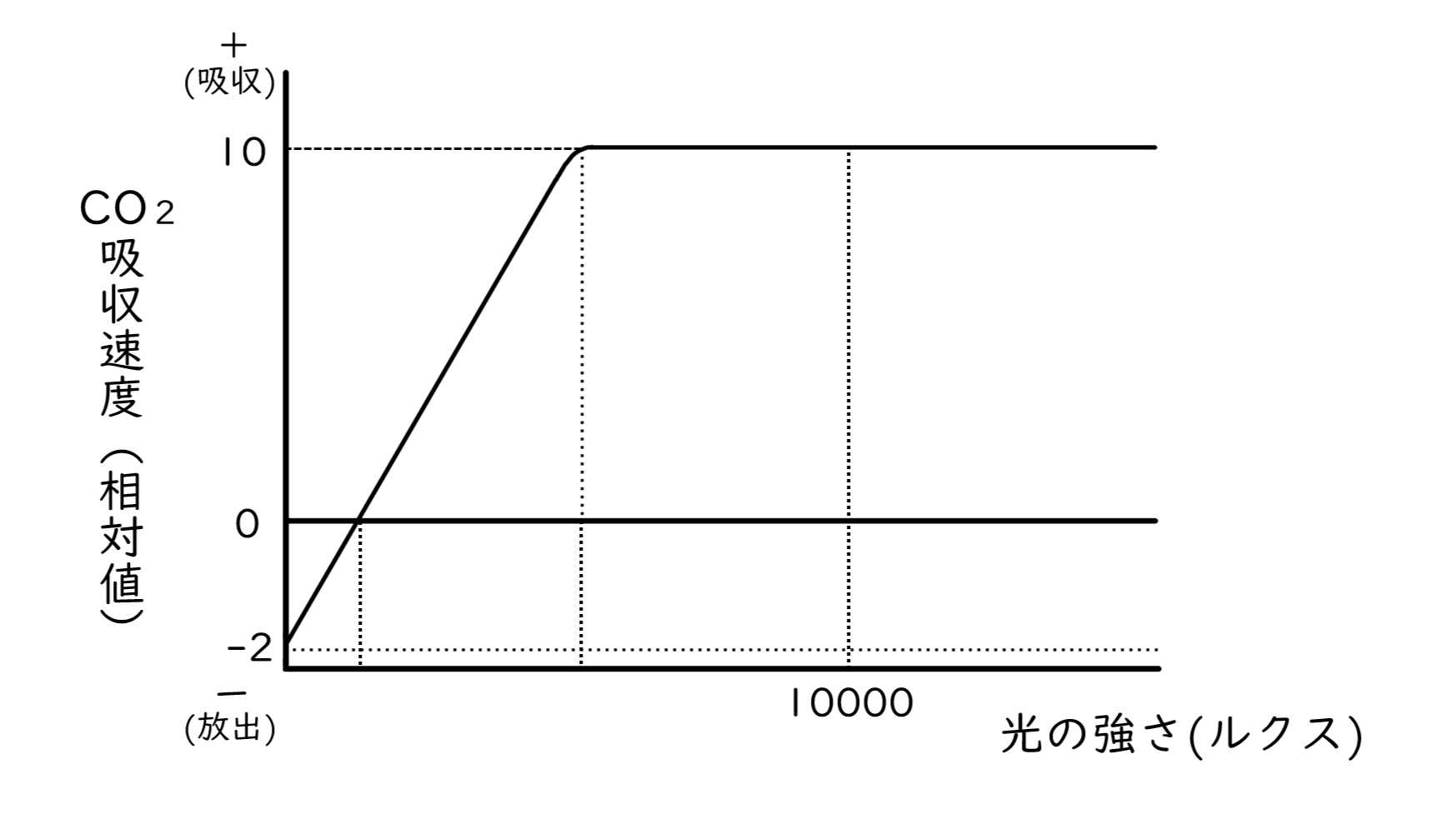 スクリーンショット (51).png