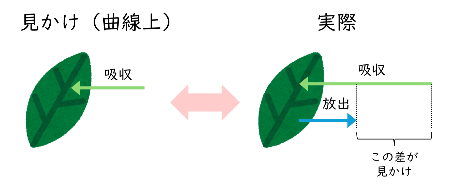 スクリーンショット (50).png