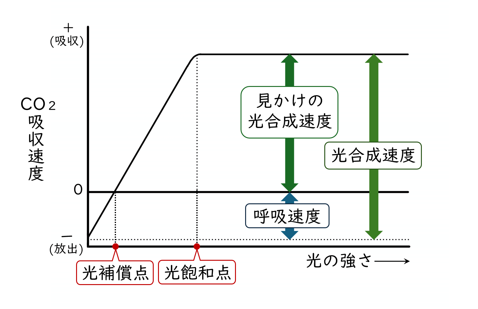 スクリーンショット (49).png