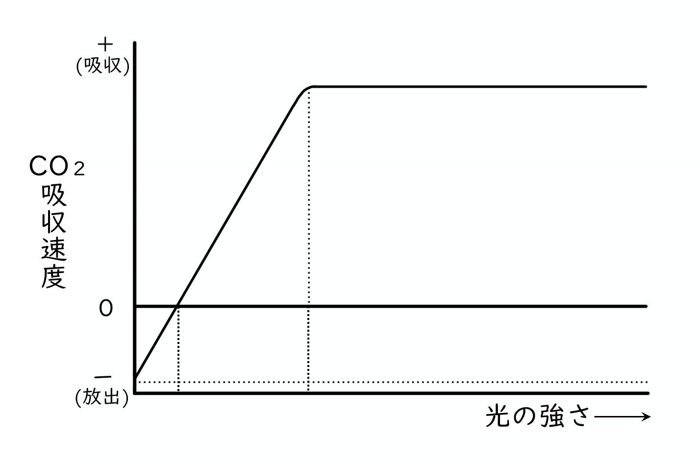 スクリーンショット (47).png