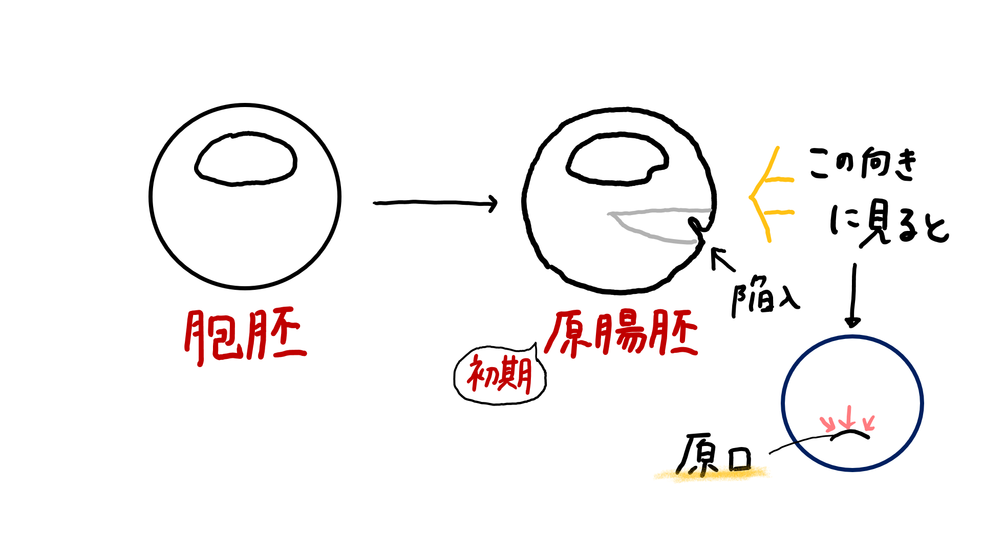 スクリーンショット 320.png