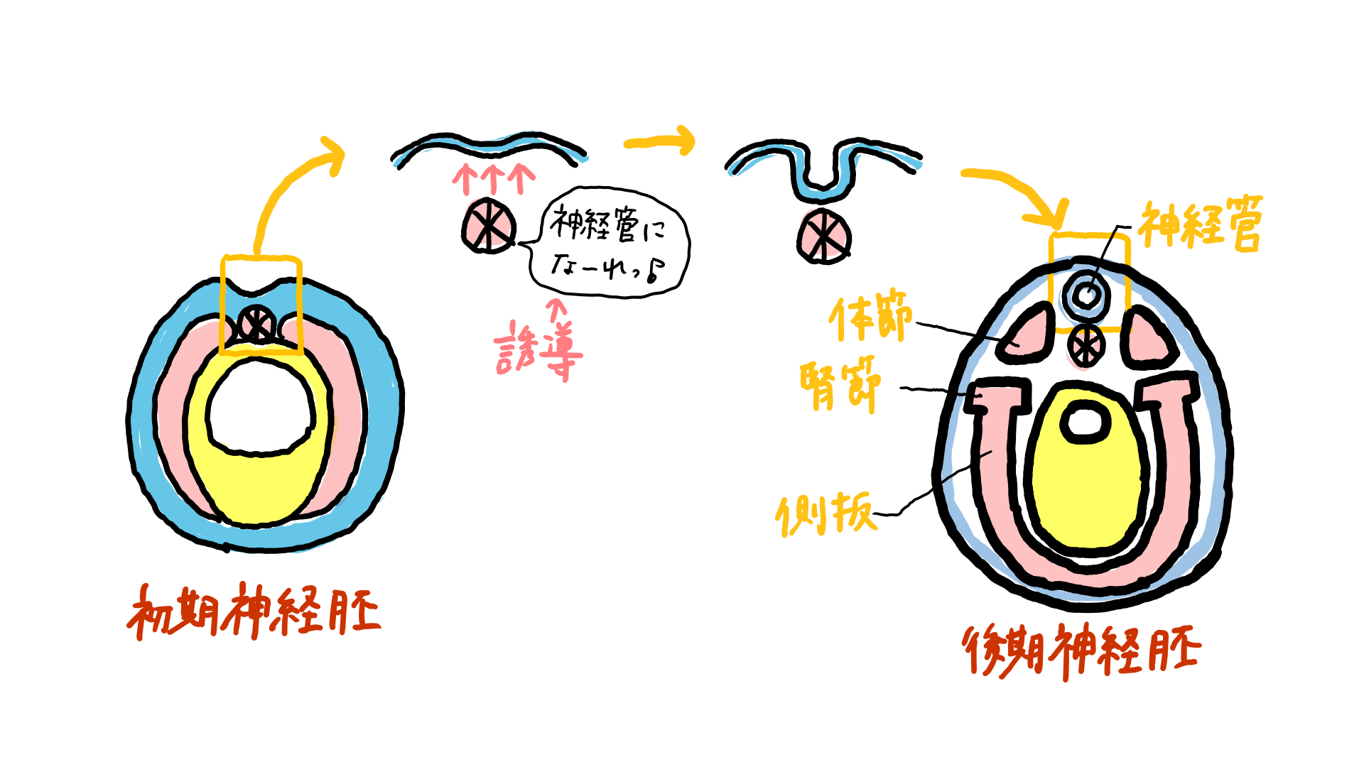 スクリーンショット 324.png