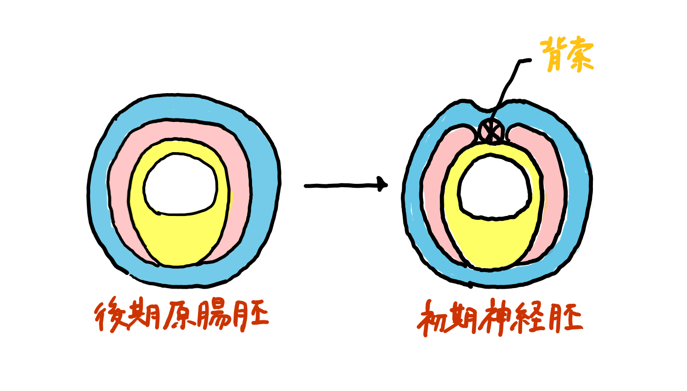 スクリーンショット 323.png