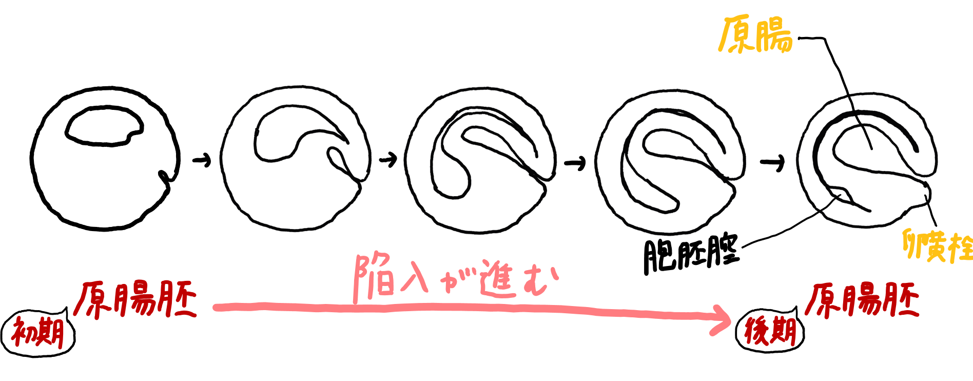 スクリーンショット 321.png