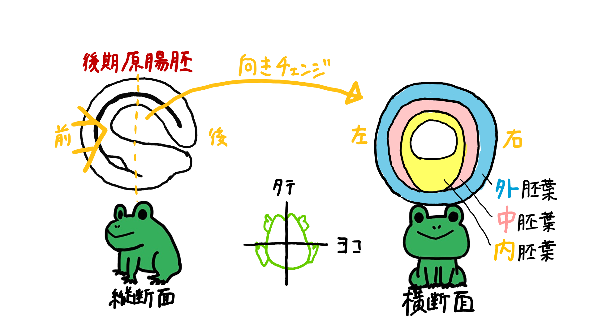 スクリーンショット 322.png