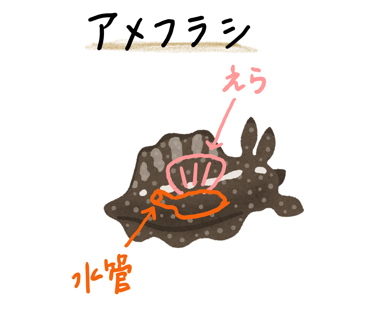 スクリーンショット 281.png