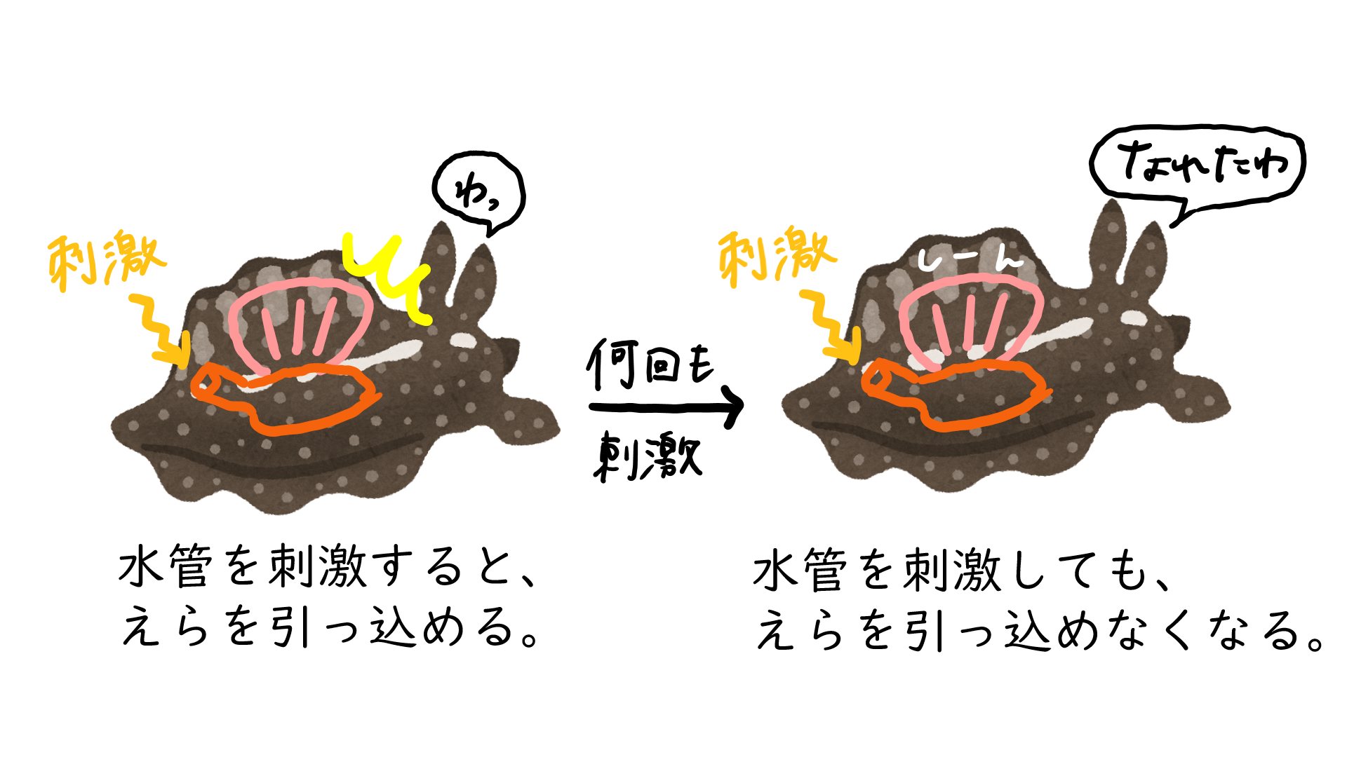 スクリーンショット 282.png