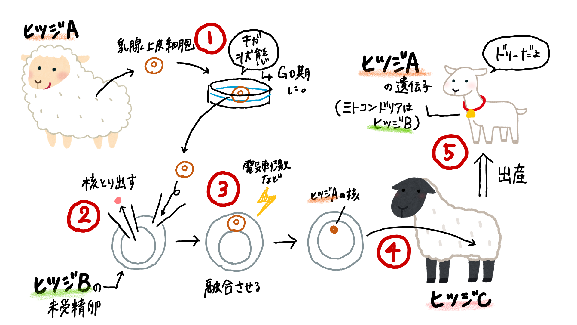 スクリーンショット 258.png