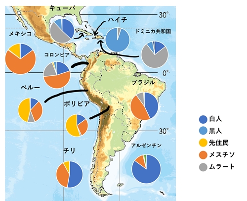 sラテンアメリカの人種構成.jpg